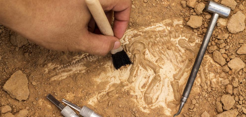 World’s oldest plant fossil on Earth discovered in india which are 1.6 billion years old World’s oldest plant fossil on Earth discovered in india which are 1.6 billion years old