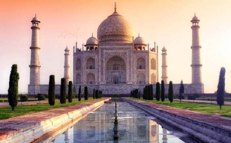 Snake in search of a water and a cool place, led to panic among tourists at Taj Mahal Snake in search of a water and a cool place, led to panic among tourists at Taj Mahal