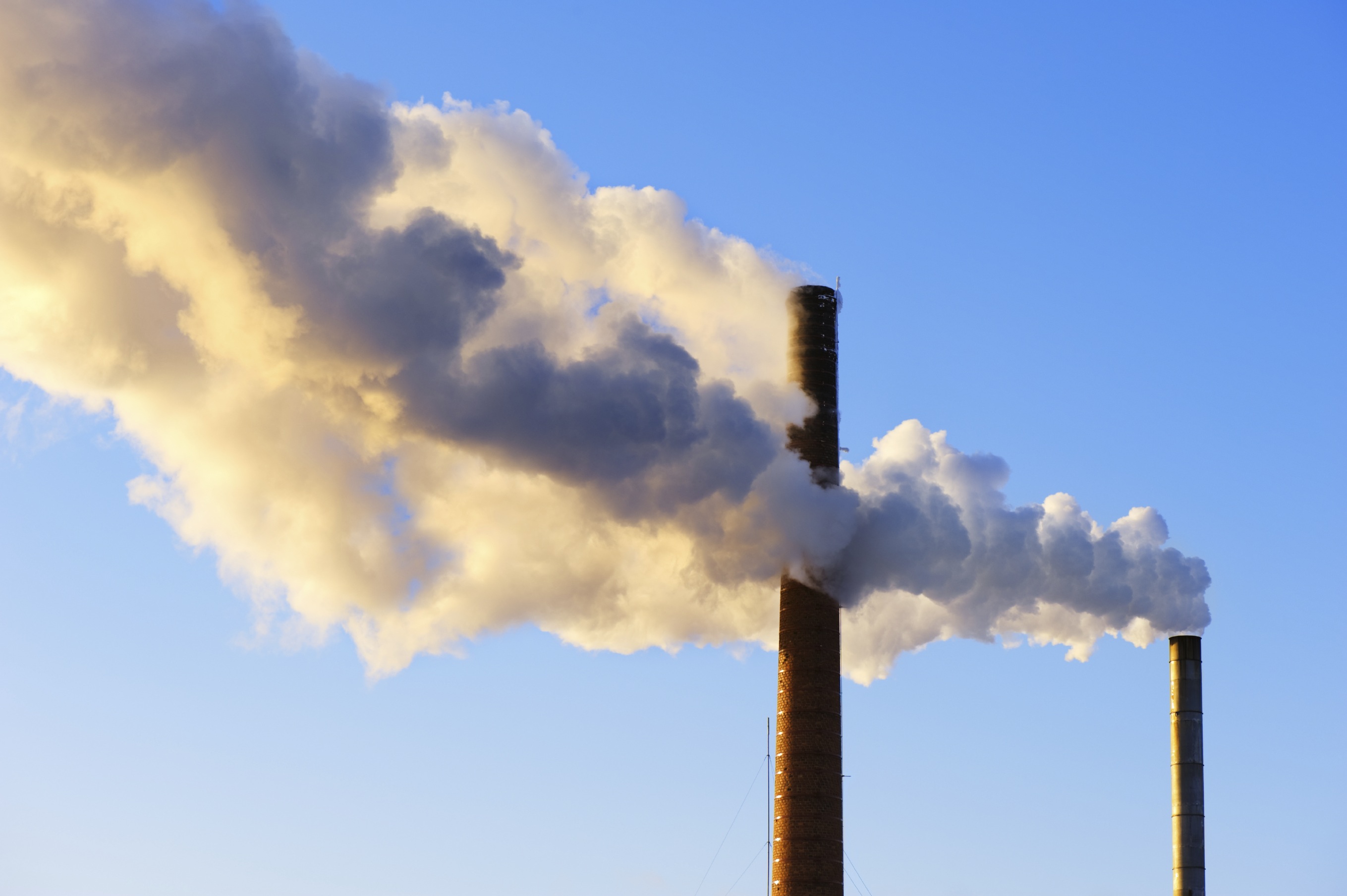 World Environment Day: Consuming pre-used products curbs millions tonne of CO2 emission in a year World Environment Day: Consuming pre-used products curbs millions tonne of CO2 emission in a year