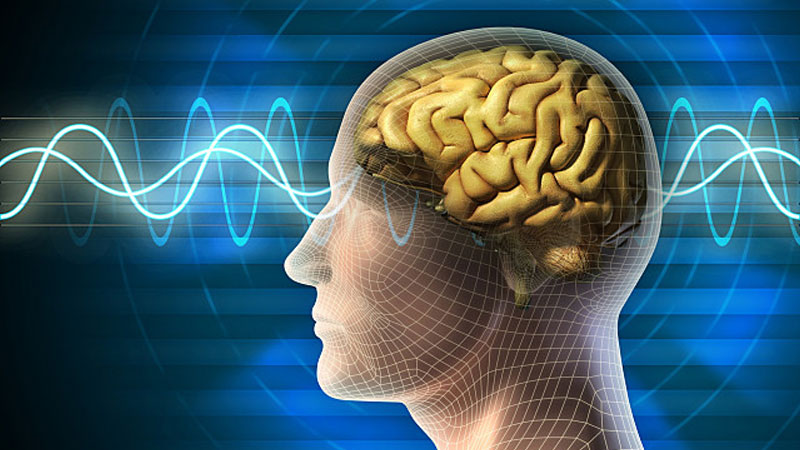 'Mind reading' technology decodes complex thoughts 'Mind reading' technology decodes complex thoughts