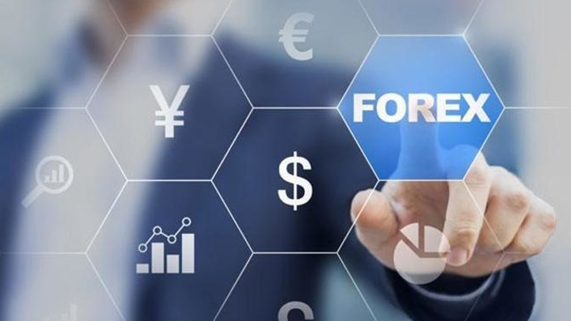 India's forex reserves rise to nearly $400 bn India's forex reserves rise to nearly $400 bn