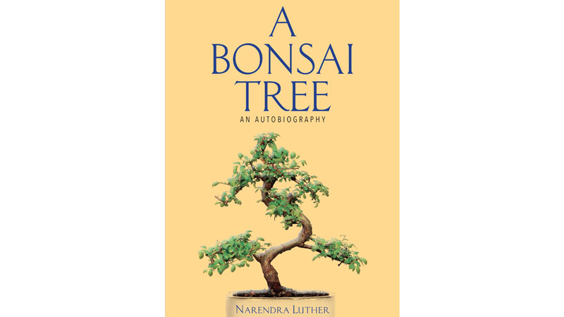 A Bonsai Tree Book Review: A journey from Lahore to Hyderabad A Bonsai Tree Book Review: A journey from Lahore to Hyderabad