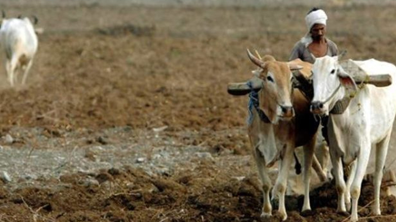 Uttar Pradesh shame! Farmers get loan wavier from Rs 1 to Rs 215 Uttar Pradesh shame! Farmers get loan wavier from Rs 1 to Rs 215