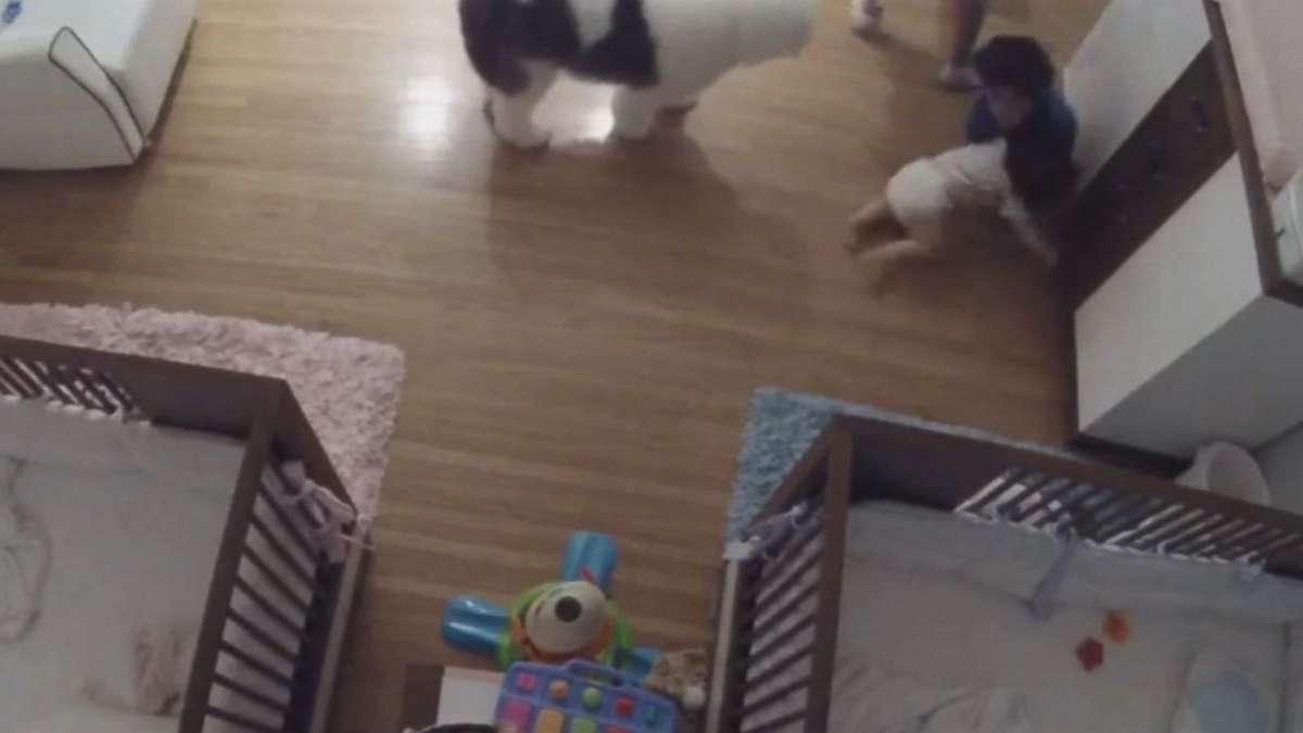 Boy saves brother Boy saves brother
