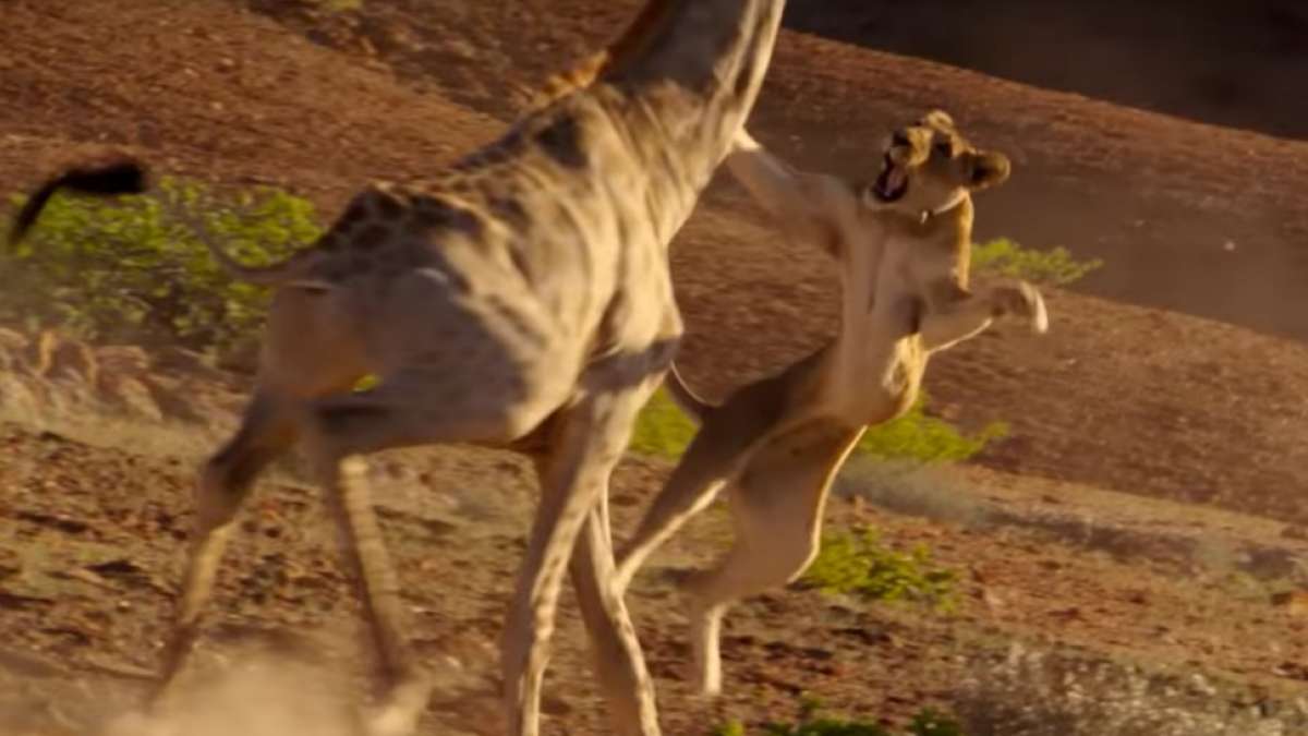 Planet Earth II Planet Earth II
