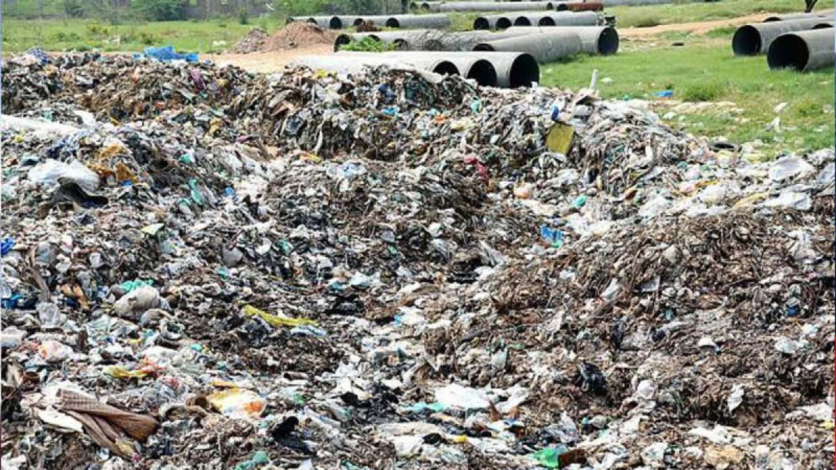 NGT rules fine on dumping waste in public NGT rules fine on dumping waste in public