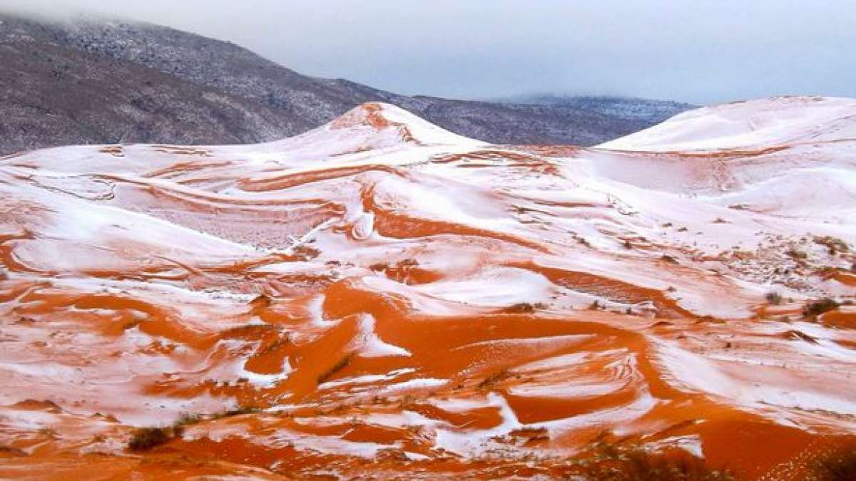 Sahara snow pictures Sahara snow pictures