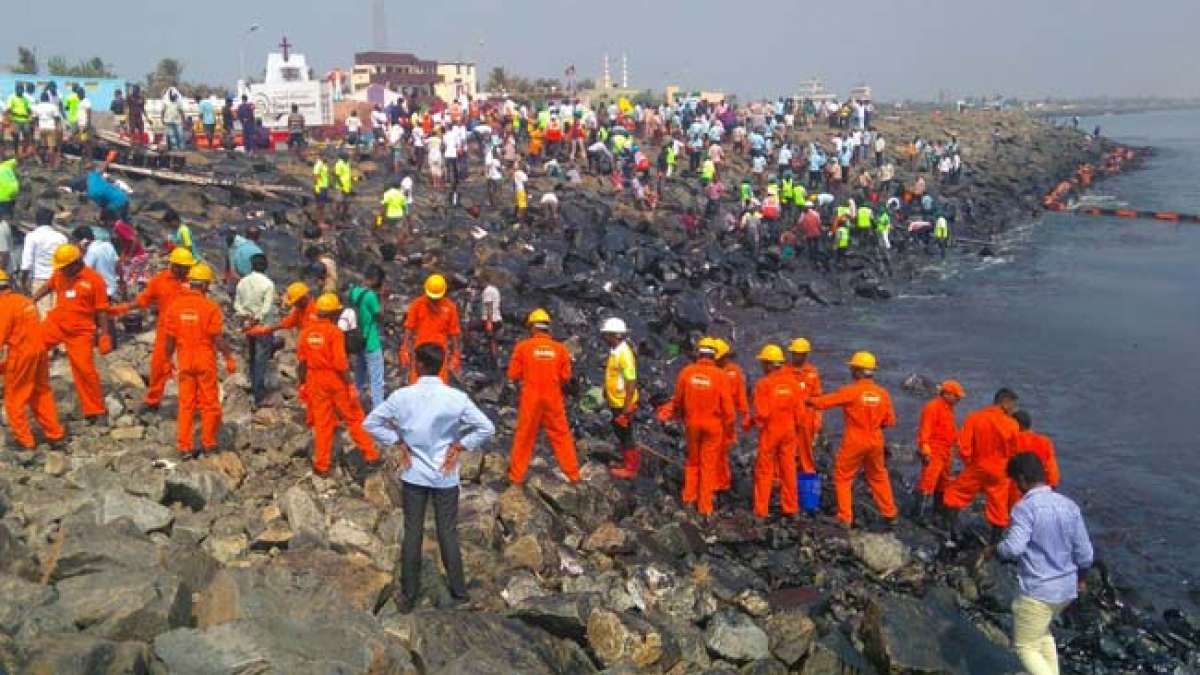 Thousands clean up spilt oil along Chennai coast Thousands clean up spilt oil along Chennai coast