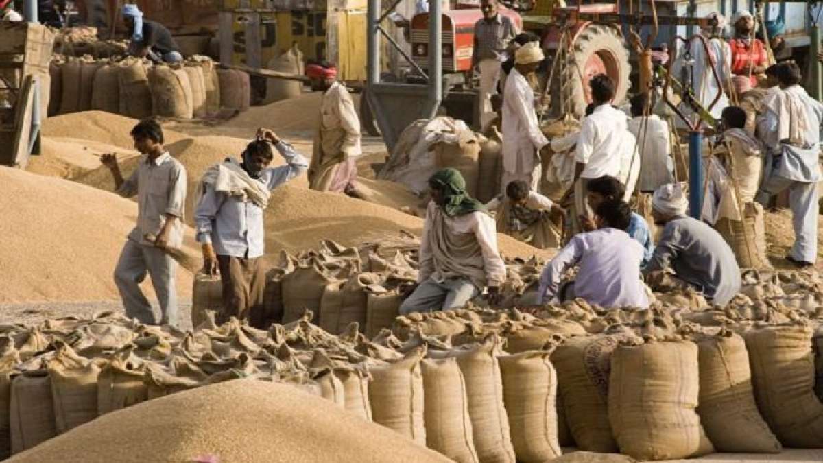 Uttar Pradesh began functioning 5,000 wheat purchase centres Uttar Pradesh began functioning 5,000 wheat purchase centres