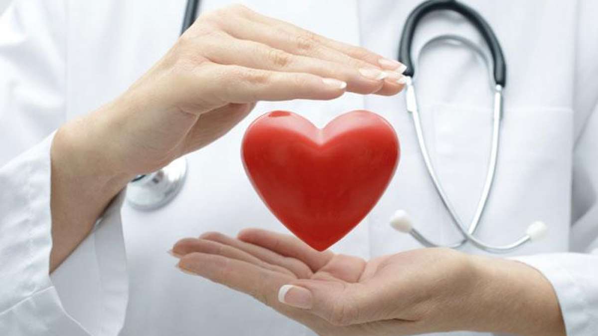 US scientists create New 3D bio-printed digital patch may heal damaged heart tissue US scientists create New 3D bio-printed digital patch may heal damaged heart tissue