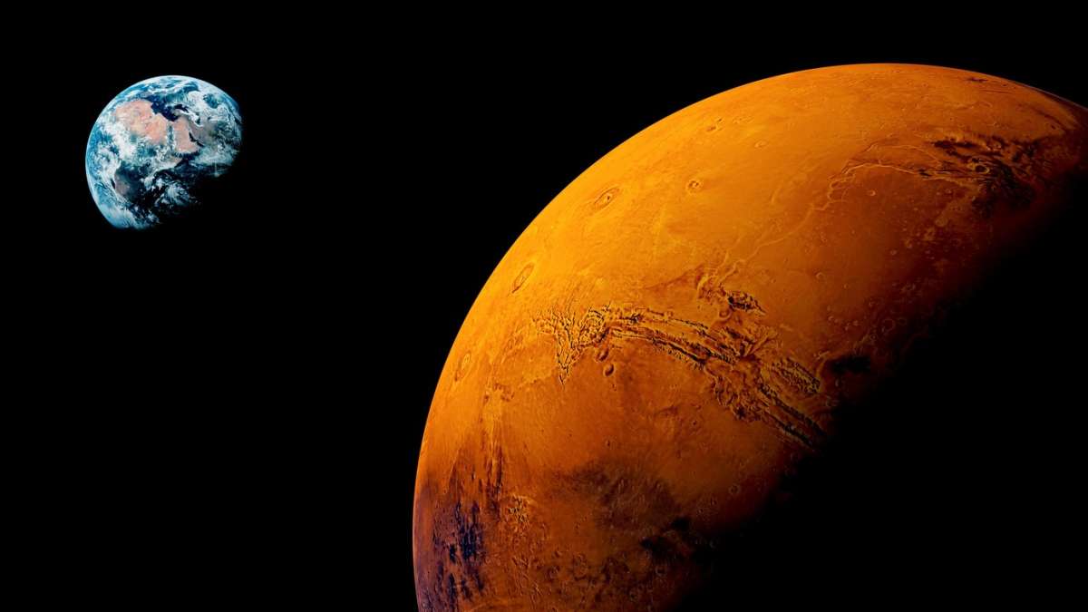 Tree stump on Mars red Planet Tree stump on Mars red Planet