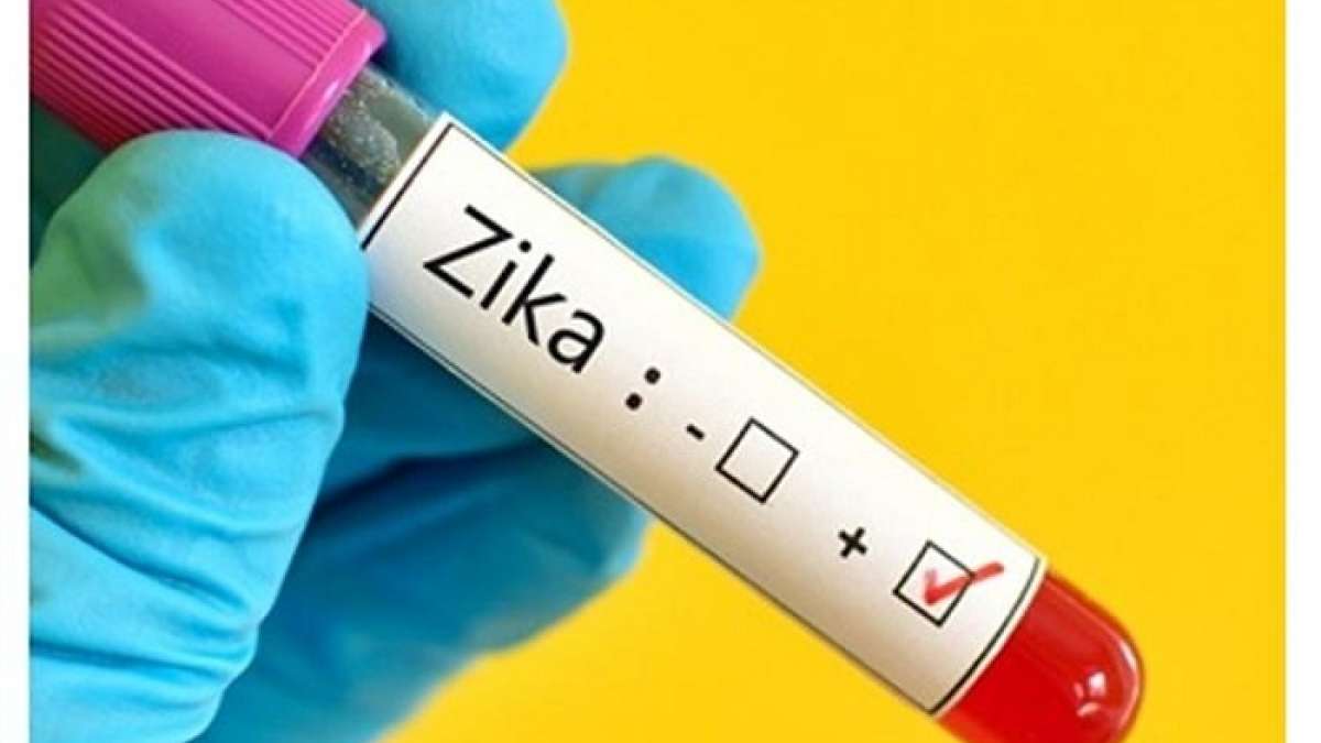 India's first three cases of Zika virus infection were reported from Ahmedabad between February 2016 and January 2017, but the AMC was unaware of it India's first three cases of Zika virus infection were reported from Ahmedabad between February 2016 and January 2017, but the AMC was unaware of it