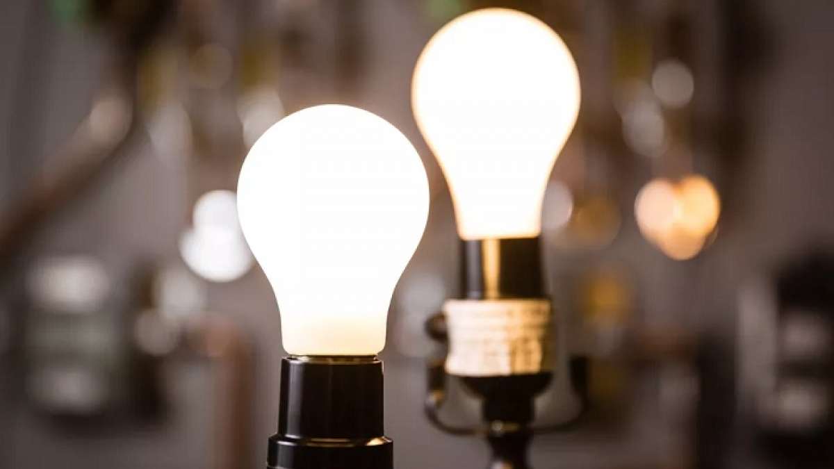 Piyush Goyal said that India may use only LED products for lighting Piyush Goyal said that India may use only LED products for lighting
