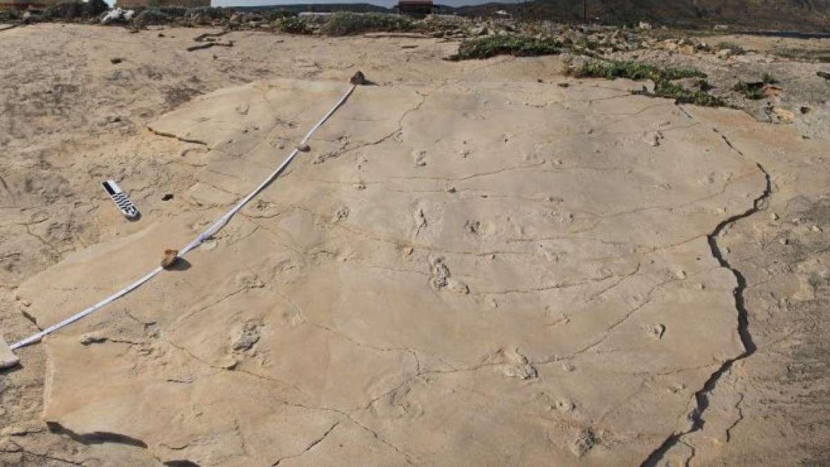 5.7 million years old human-like footprints found in Greece 5.7 million years old human-like footprints found in Greece