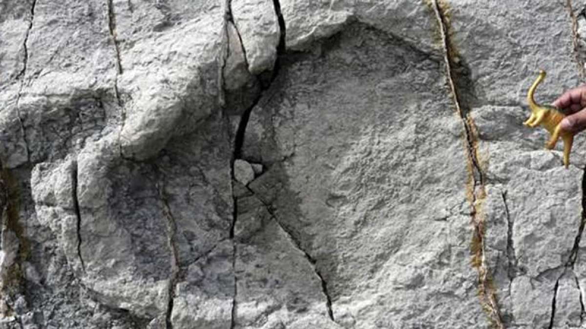 Humans' origin likely from Europe, not Africa: Study Humans' origin likely from Europe, not Africa: Study