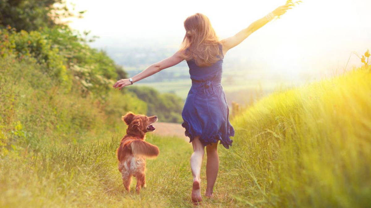 Secret to thriving decoded: Scientists create 'shopping list' for happiness, success Secret to thriving decoded: Scientists create 'shopping list' for happiness, success