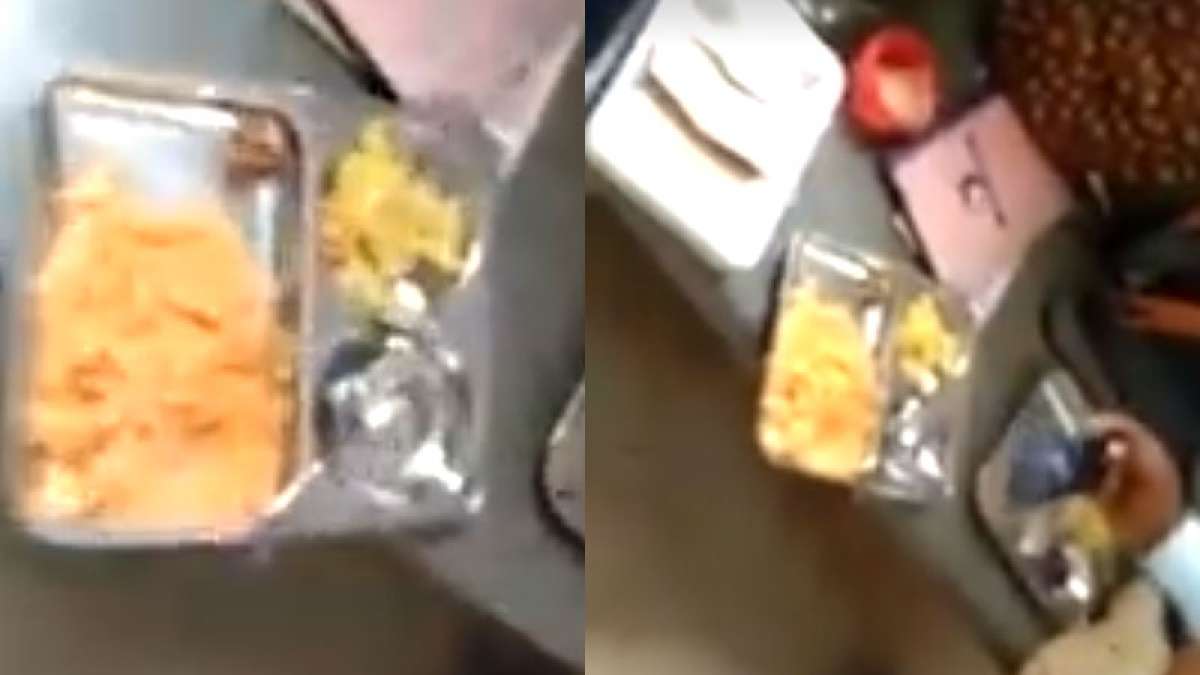 Insect found crawling in Bengaluru's Indira Gandhi canteen food Insect found crawling in Bengaluru's Indira Gandhi canteen food