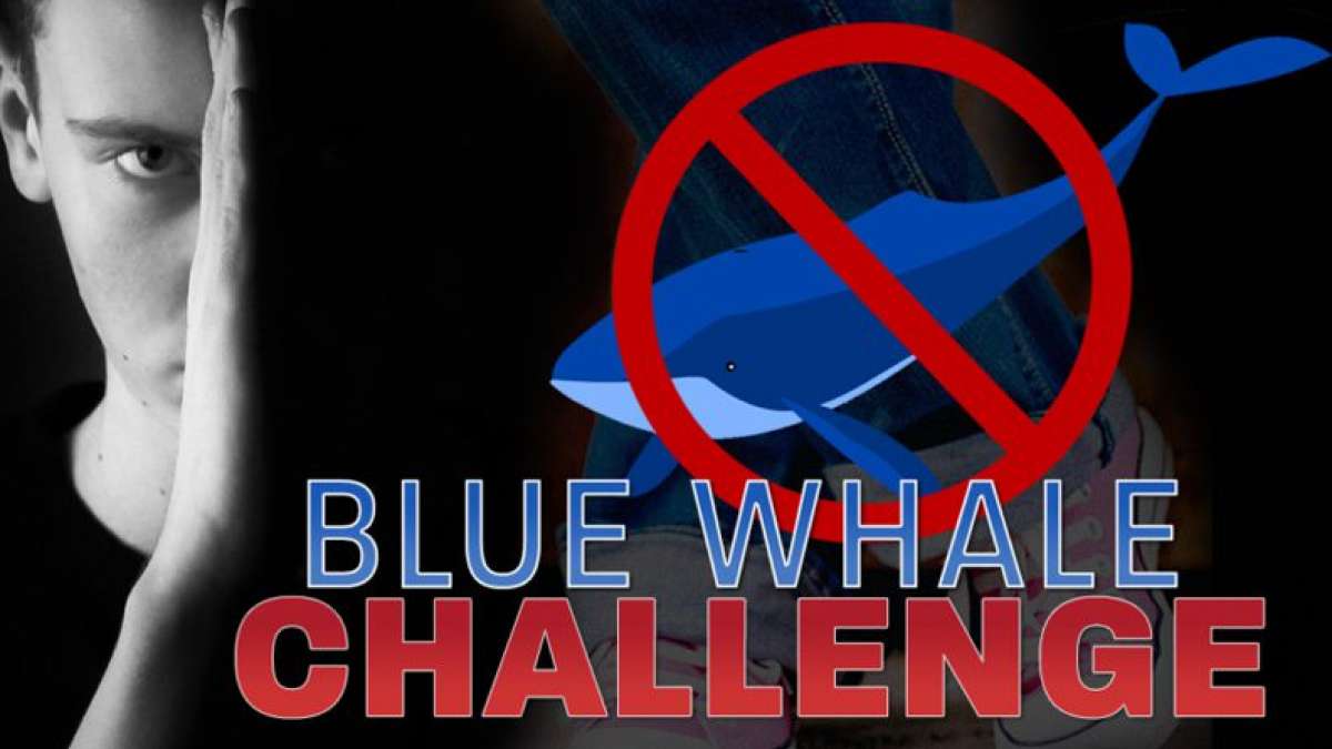 Blue Whale Game a nation problem: SC Blue Whale Game a nation problem: SC