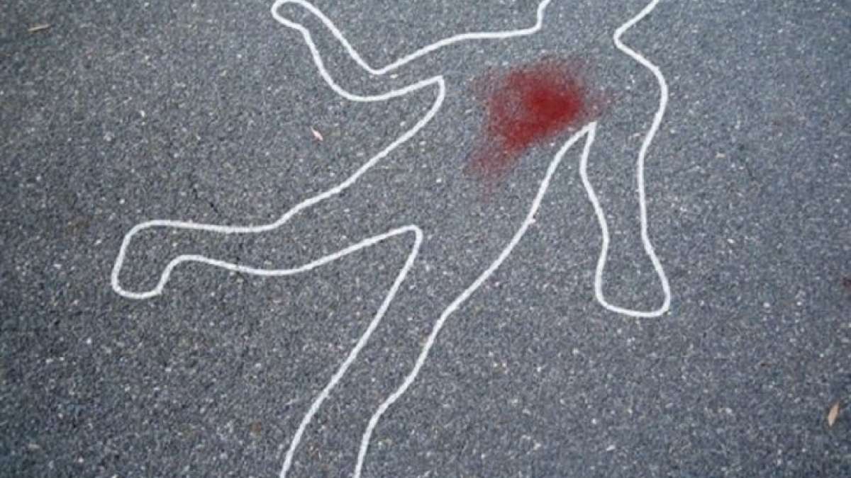 Himachal Pradesh: Woman official shot dead during demolition drive in Solan district Himachal Pradesh: Woman official shot dead during demolition drive in Solan district