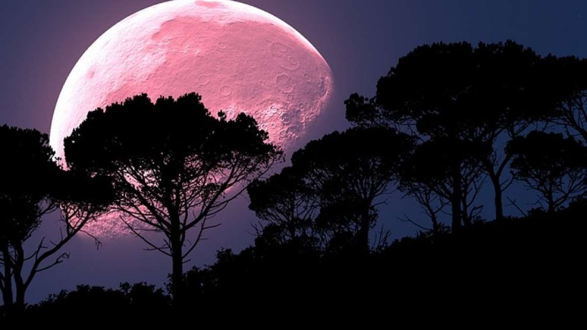 NASA said that some of Saturn’s moons could be visible through a telescope NASA said that some of Saturn’s moons could be visible through a telescope