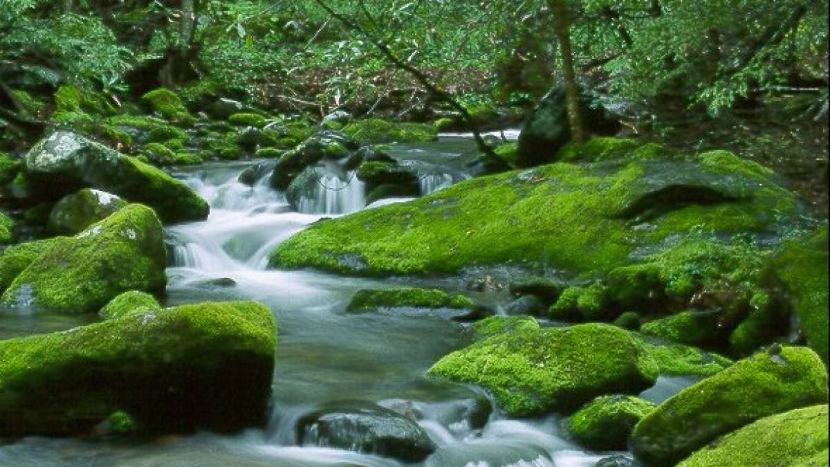 Scientists find unexplored rivers and streams on the Earth Scientists find unexplored rivers and streams on the Earth