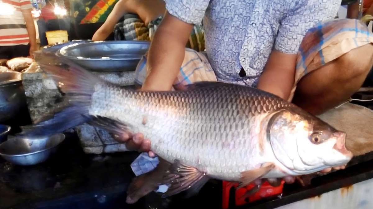 In June, Kerala food safety department officials caught nearly 9,600 kg of fish preserved in formalin at a border check post in Kollam district. In June, Kerala food safety department officials caught nearly 9,600 kg of fish preserved in formalin at a border check post in Kollam district.