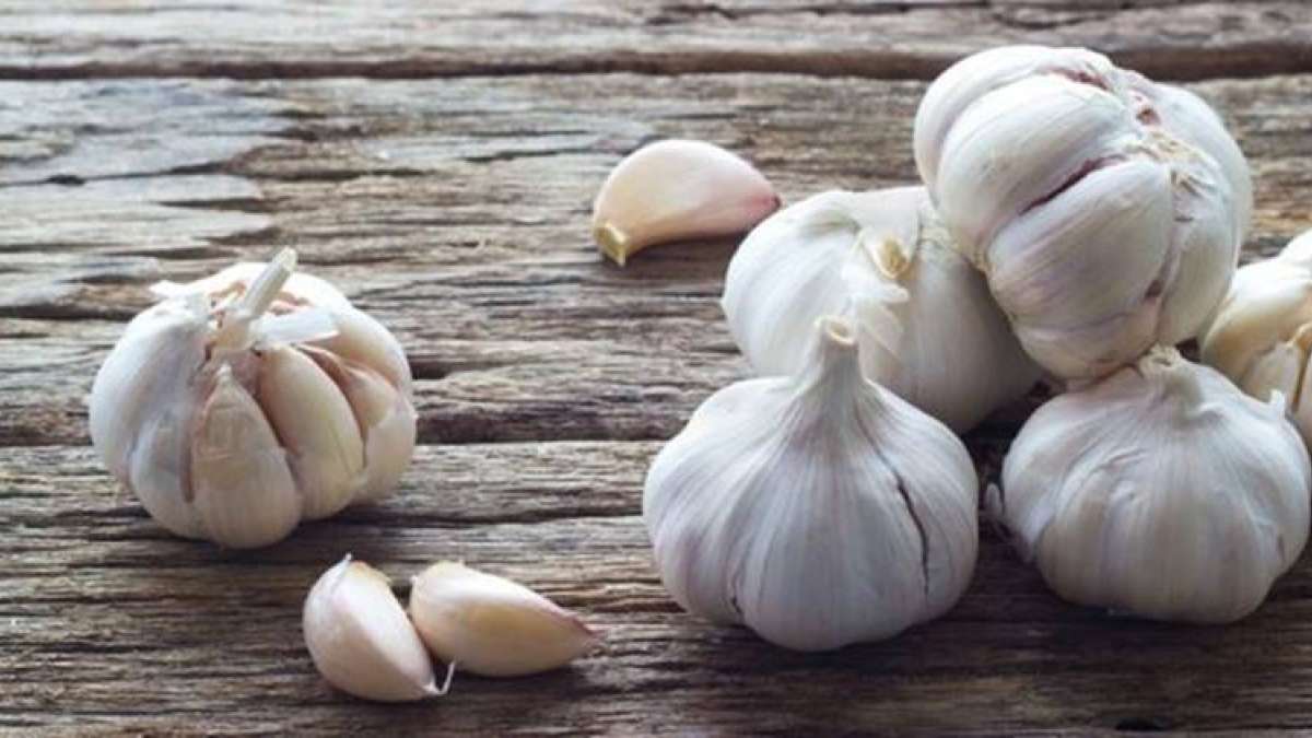 Garlic is loaded with nearly 100 active chemical compounds including several potent anti-oxidants. Garlic is loaded with nearly 100 active chemical compounds including several potent anti-oxidants.