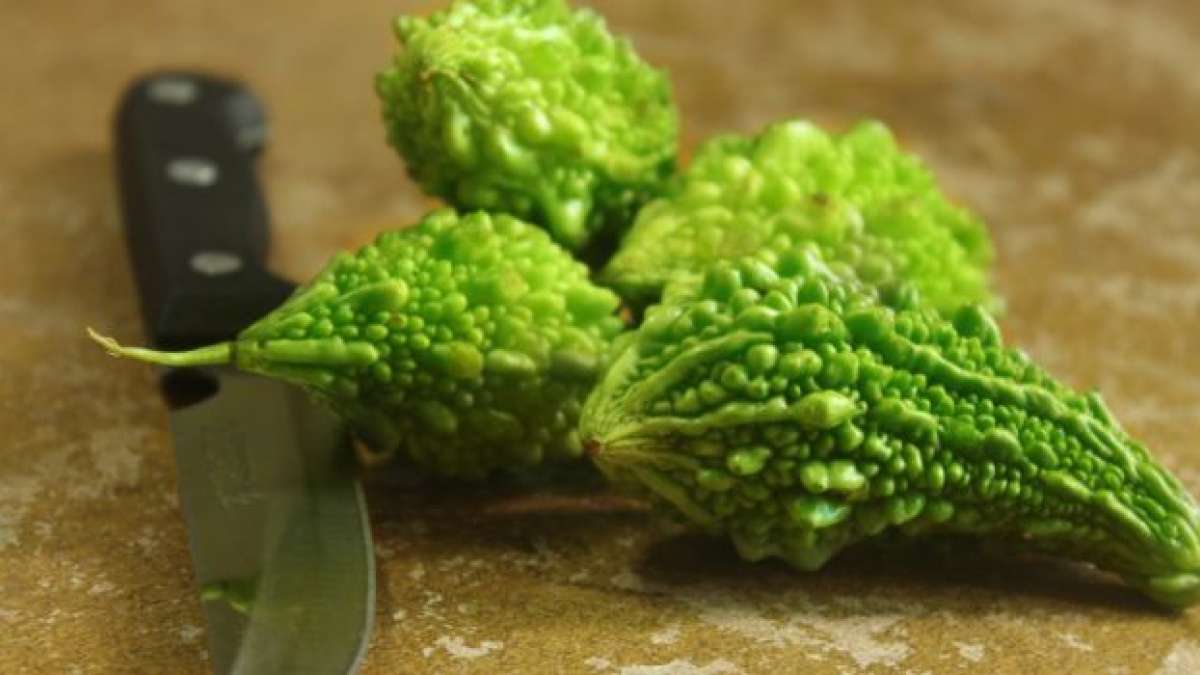 Bitter gourd contains an insulin-like compound called Polypeptide-p or p-insulin, which control diabetes naturally Bitter gourd contains an insulin-like compound called Polypeptide-p or p-insulin, which control diabetes naturally