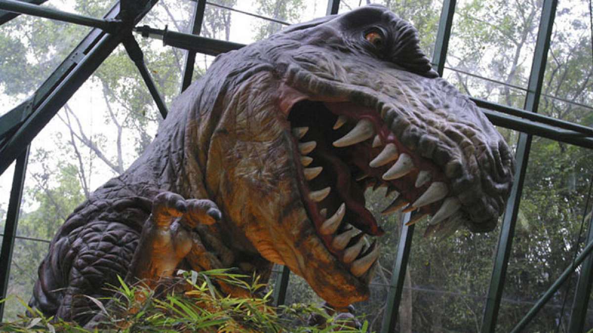 Dinosaurs liked perfumes that we enjoy today, says new study Dinosaurs liked perfumes that we enjoy today, says new study
