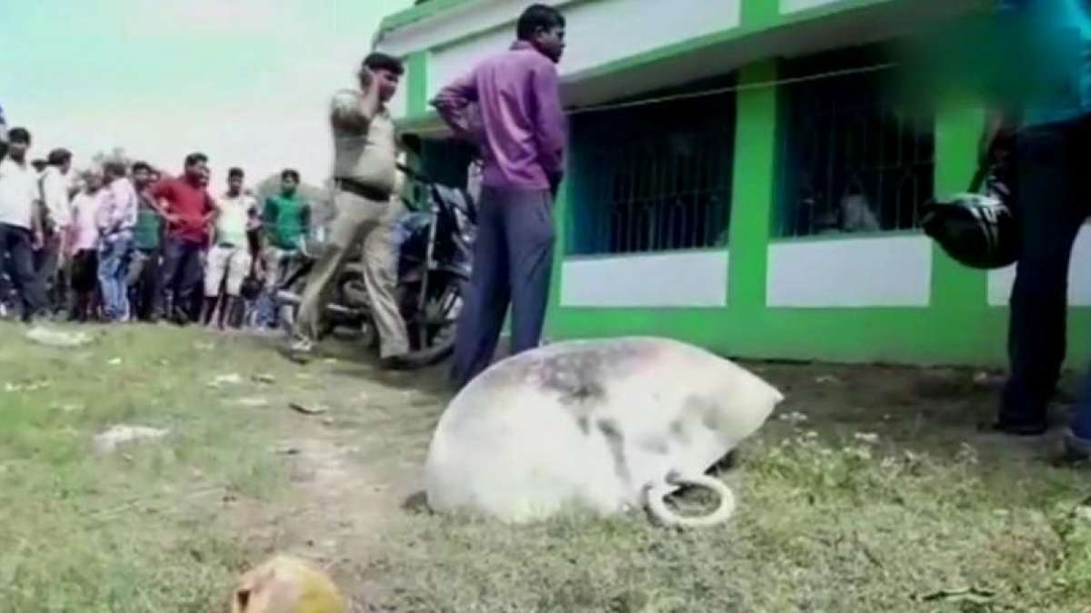Blast in Mamata Banerjee's Party office Blast in Mamata Banerjee's Party office