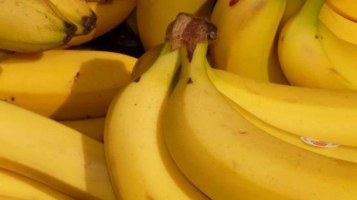 According to Ayurvedic science, eating bananas during the night does not harm health According to Ayurvedic science, eating bananas during the night does not harm health