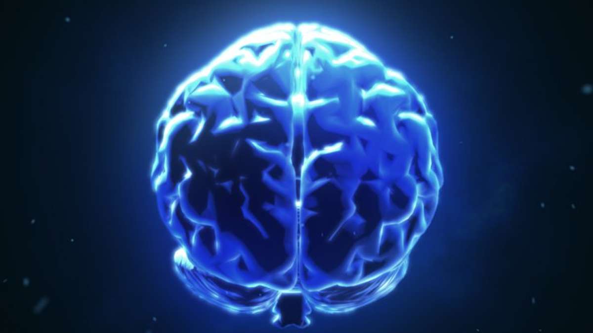 Human Brain (Representational Image) Human Brain (Representational Image)