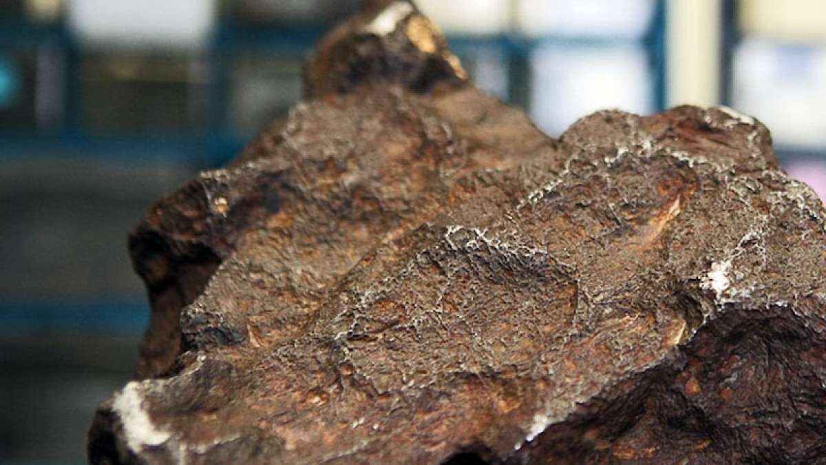 Meteorite worth $1,00,000 used as doorstop for decades Meteorite worth $1,00,000 used as doorstop for decades