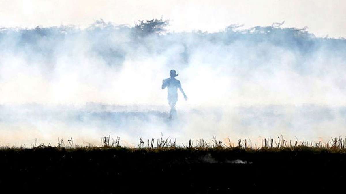 Crop burning smog evil to return in Delhi soon Crop burning smog evil to return in Delhi soon