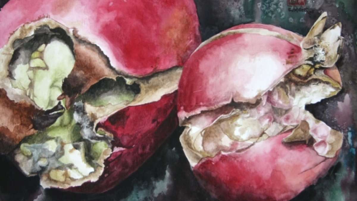 Bacteria from this rotten fruit can be used to produce huge amount of bacterial cellulose (Representational image) Bacteria from this rotten fruit can be used to produce huge amount of bacterial cellulose (Representational image)