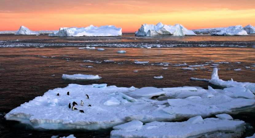 Man-made greenhouse gas emissions are warming the ocean (Photo: Reuters) Man-made greenhouse gas emissions are warming the ocean (Photo: Reuters)