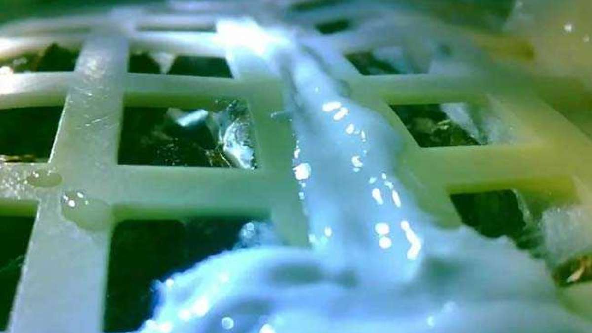 This is the first time humans have done biological growth experiments on the lunar surface This is the first time humans have done biological growth experiments on the lunar surface