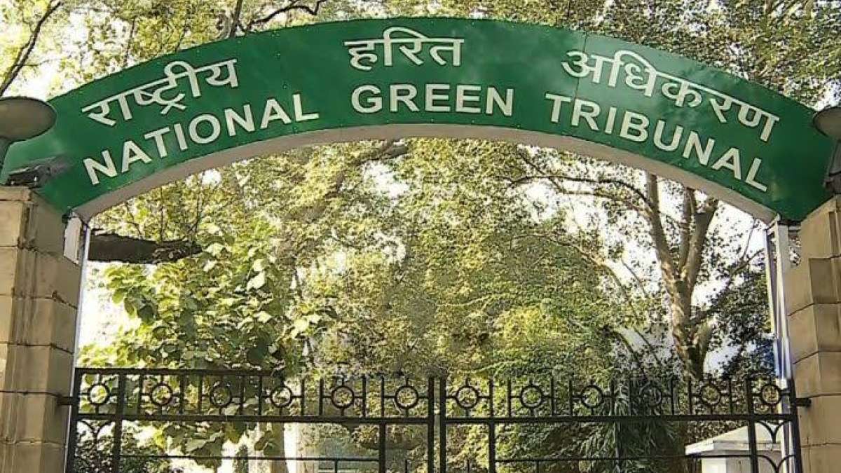 NGT slaps Rs 100 crore fine on Volkswagen, sets 24 hour deadline to deposit funds NGT slaps Rs 100 crore fine on Volkswagen, sets 24 hour deadline to deposit funds