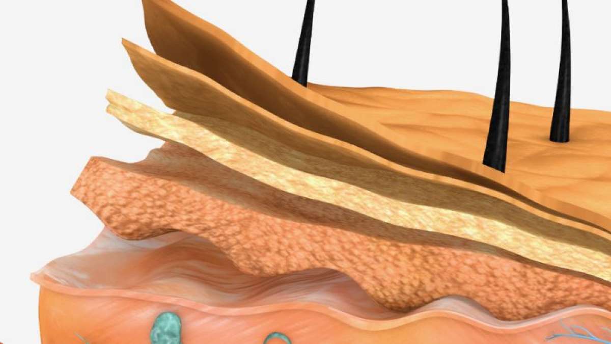 The e-skin can even feel magnetic field and sound wave vibrations. The e-skin can even feel magnetic field and sound wave vibrations.