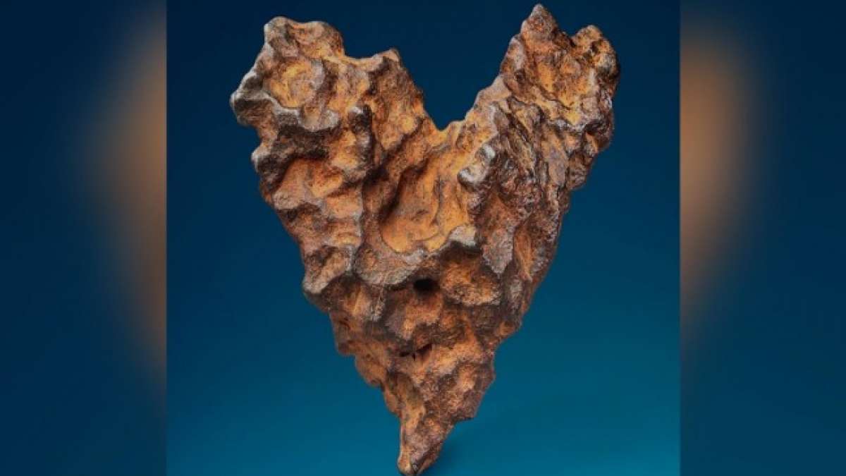 The 9-inch long meteorite is up for sale between Feb 6 and Feb 14 The 9-inch long meteorite is up for sale between Feb 6 and Feb 14