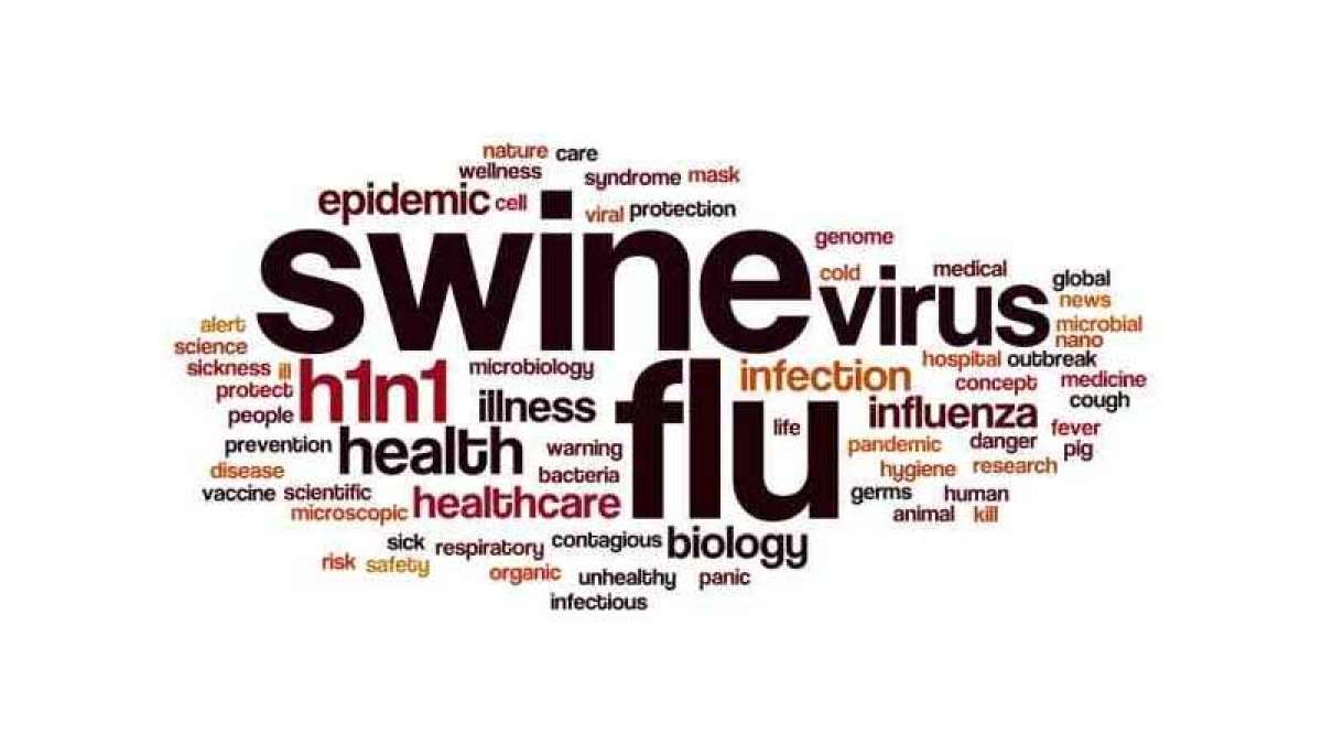 Swine Flu: Symptoms and precautions Swine Flu: Symptoms and precautions