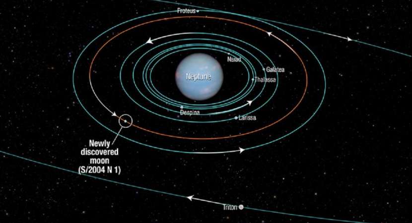 13 moons floating around Neptune 13 moons floating around Neptune