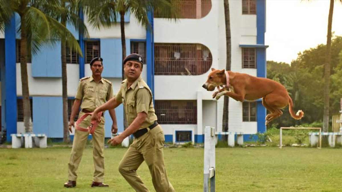 Rescued street puppy dog now joins West Bengal Police squad Rescued street puppy dog now joins West Bengal Police squad