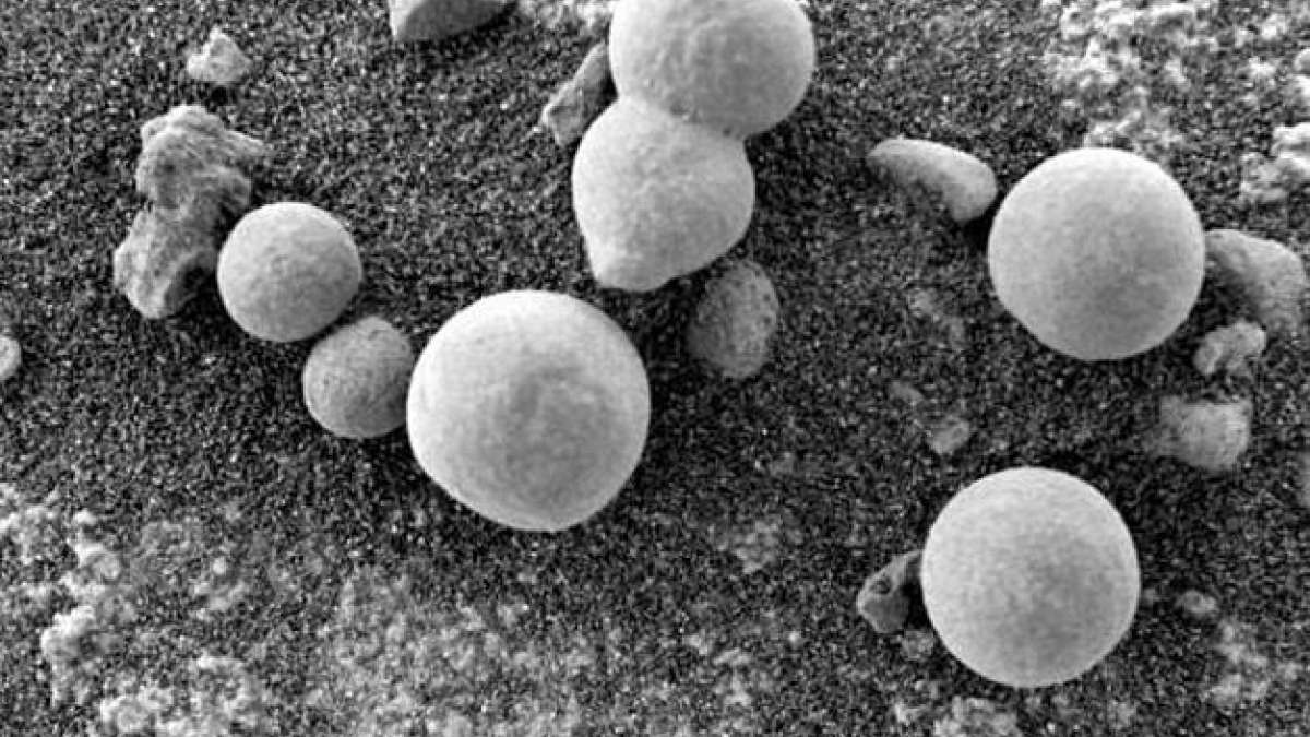 Scientists claim they have seen 'evidence' of mushrooms growing on Mars Scientists claim they have seen 'evidence' of mushrooms growing on Mars