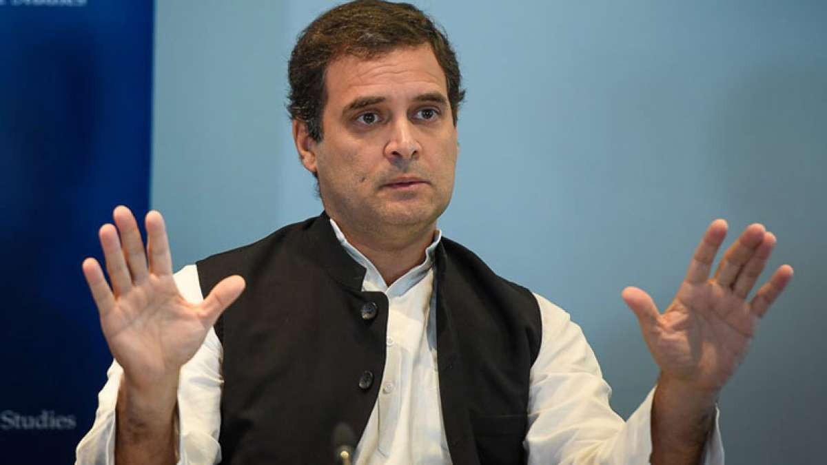 Congress President Rahul Gandhi Congress President Rahul Gandhi