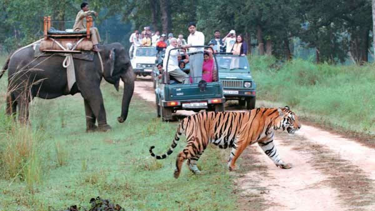There are 3 safari options in Jim Corbett National Park There are 3 safari options in Jim Corbett National Park