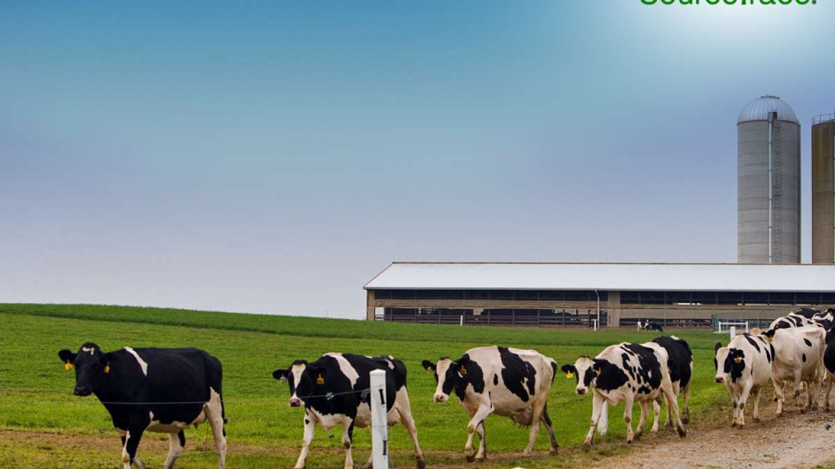 SourceTrace Digital Solutions to aid Bangladesh’s Dairy Industry SourceTrace Digital Solutions to aid Bangladesh’s Dairy Industry