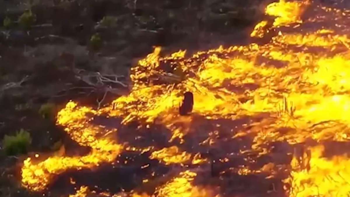 Amazon Forest Fire Amazon Forest Fire