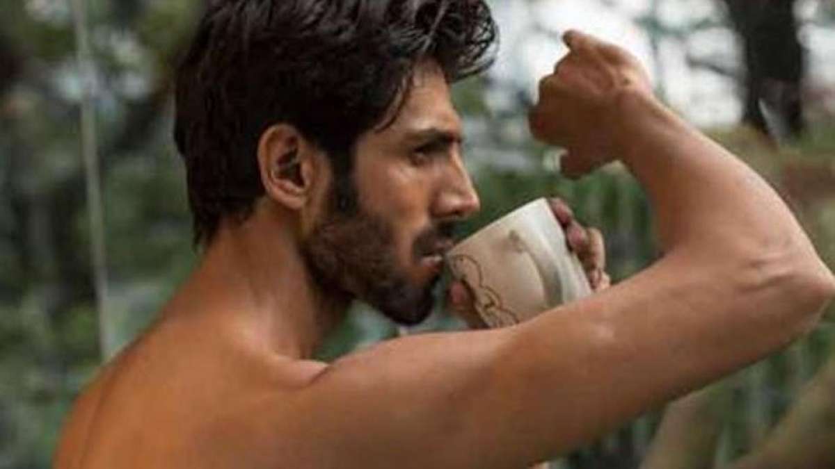 Kartik Aaryan hailed for being patient with cheek-puller fan Kartik Aaryan hailed for being patient with cheek-puller fan