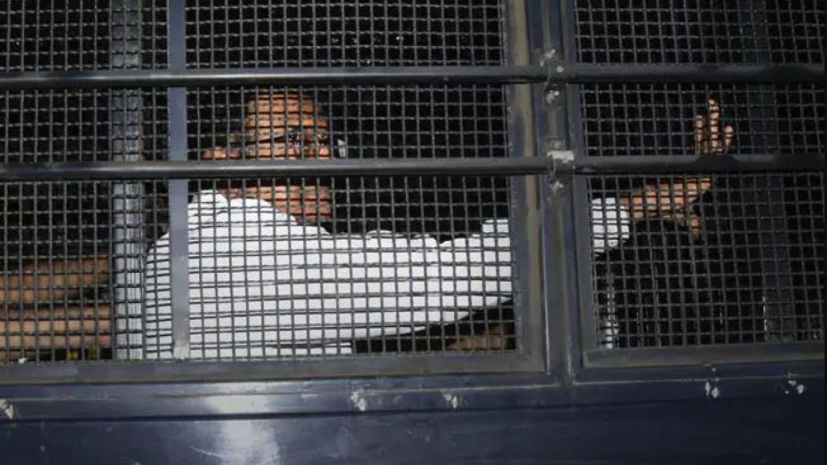 No special facilities for P Chidambaram in Tihar Jail: Officials No special facilities for P Chidambaram in Tihar Jail: Officials
